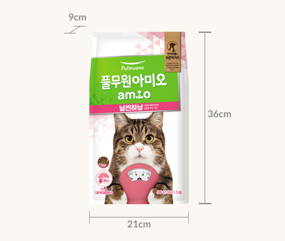임시이미지