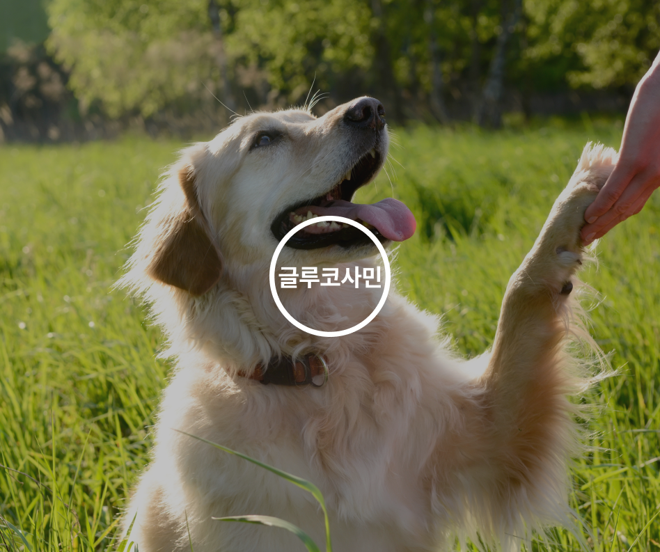 임시이미지