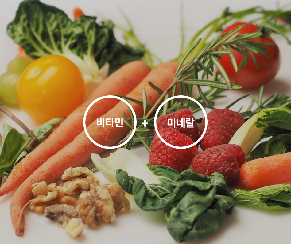 임시이미지