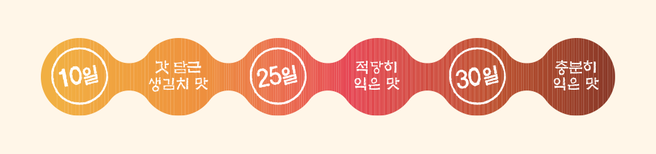 임시이미지
