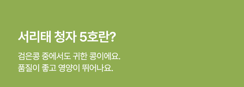 임시이미지