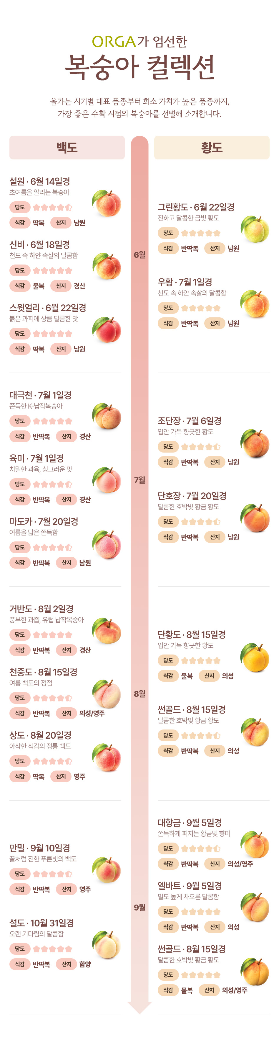 임시이미지