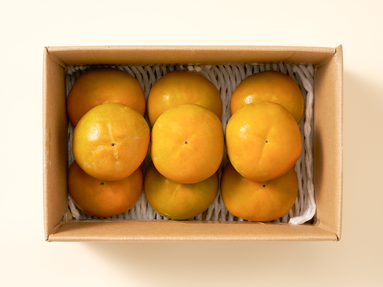 크기 비교 — 제품 패키지와 500ml 생수병 실루엣(00cm x 00cm)
