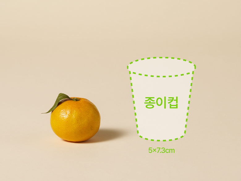 크기 비교 — 제품 패키지와 500ml 생수병 실루엣(00cm x 00cm)